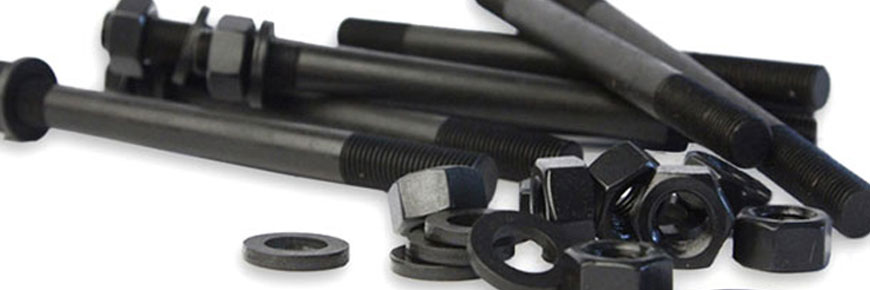 Carbon Steel A307 Fasteners Manufacturers