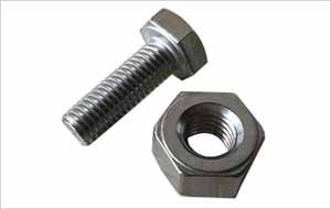 Steel 317L Hex Nut & Bolt Manufacturer