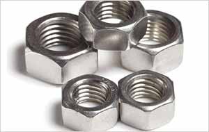 SS 317 Nut Exporters